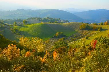 Holiday House in Cagli (Pesaro e Urbino) or holiday homes and vacation rentals