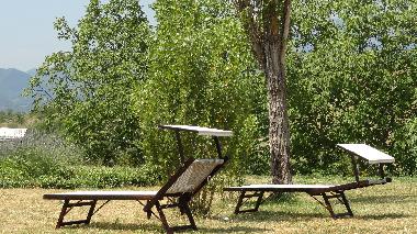 Holiday House in Cagli (Pesaro e Urbino) or holiday homes and vacation rentals