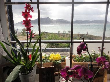 Holiday House in Koufonisi (Kyklades) or holiday homes and vacation rentals