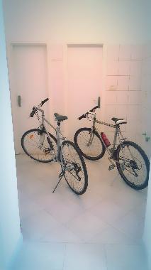 Holiday House in Katuni (Splitsko-Dalmatinska) or holiday homes and vacation rentals