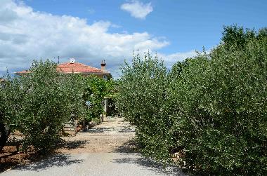 Holiday Apartment in Pula, Banjole (Istarska) or holiday homes and vacation rentals