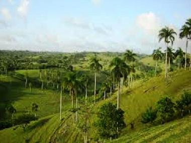 Holiday House in RIO SAN JUAN (Maria Trinidad Sanchez) or holiday homes and vacation rentals