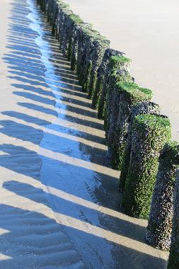 Holiday Apartment in Nieuwvliet-Bad (Zeeland) or holiday homes and vacation rentals