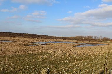Holiday Apartment in Nieuwvliet-Bad (Zeeland) or holiday homes and vacation rentals