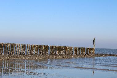 Holiday Apartment in Nieuwvliet-Bad (Zeeland) or holiday homes and vacation rentals