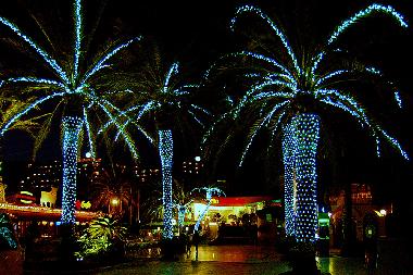 Holiday House in Costa Calma (Fuerteventura) or holiday homes and vacation rentals