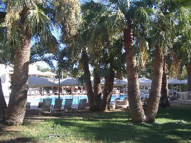 Holiday Apartment in Ayia Napa (Famagusta) or holiday homes and vacation rentals