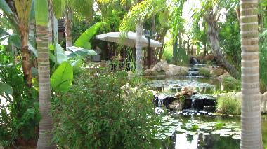 Holiday Apartment in Ayia Napa (Famagusta) or holiday homes and vacation rentals