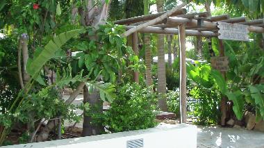 Holiday Apartment in Ayia Napa (Famagusta) or holiday homes and vacation rentals