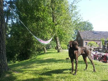 Holiday House in Metslawier (Friesland) or holiday homes and vacation rentals