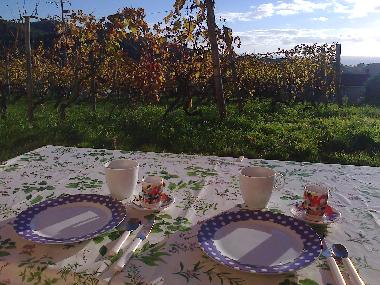 Holiday House in imperia (Imperia) or holiday homes and vacation rentals