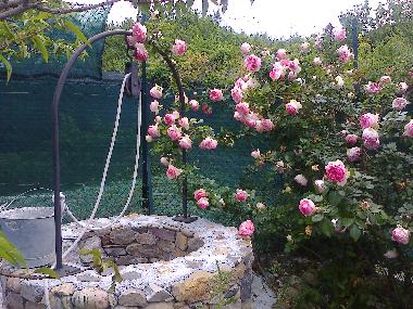 Holiday House in imperia (Imperia) or holiday homes and vacation rentals