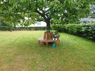Holiday Apartment in Zinnowitz (Ostsee-Inseln) or holiday homes and vacation rentals