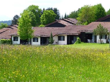 Holiday House in Lechbruck am See (Bavarian Swabia) or holiday homes and vacation rentals