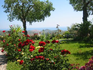 Holiday House in Imperia (Imperia) or holiday homes and vacation rentals