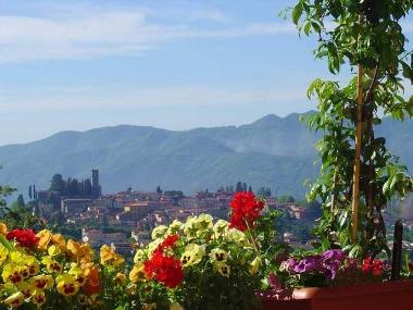 Holiday House in Barga (Lucca) or holiday homes and vacation rentals