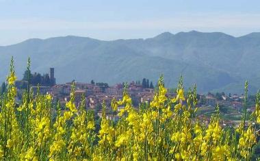 Holiday House in Barga (Lucca) or holiday homes and vacation rentals