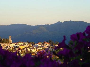 Holiday House in Barga (Lucca) or holiday homes and vacation rentals