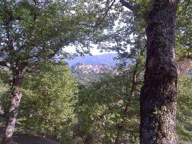 Holiday House in Barga (Lucca) or holiday homes and vacation rentals