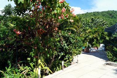 Holiday Apartment in Anses D`Arlet (Martinique) or holiday homes and vacation rentals