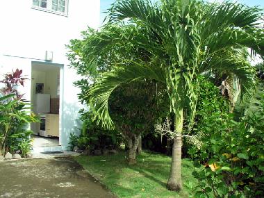 Holiday Apartment in Anses d´Arlet (Martinique) or holiday homes and vacation rentals