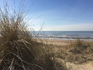 Holiday House in Noordwijk (Zuid-Holland) or holiday homes and vacation rentals