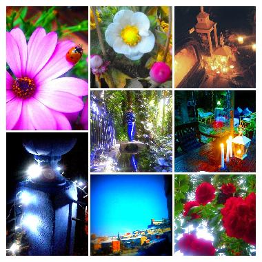 Bed and Breakfast in Castejn de las Armas (Zaragoza) or holiday homes and vacation rentals