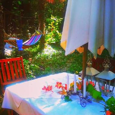 Bed and Breakfast in Castejn de las Armas (Zaragoza) or holiday homes and vacation rentals