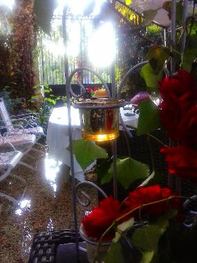 Bed and Breakfast in Castejn de las Armas (Zaragoza) or holiday homes and vacation rentals