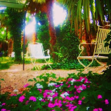 Bed and Breakfast in Castejn de las Armas (Zaragoza) or holiday homes and vacation rentals