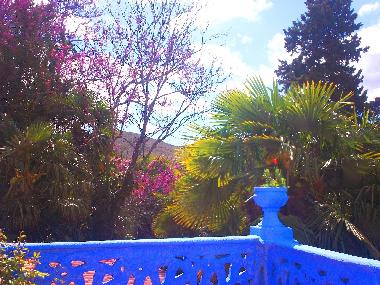 Bed and Breakfast in Castejn de las Armas (Zaragoza) or holiday homes and vacation rentals