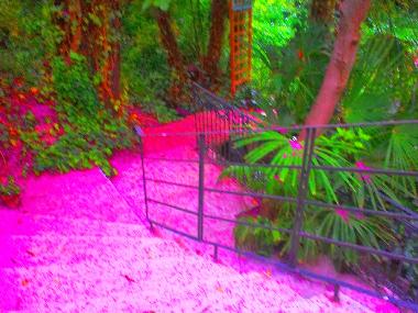 Bed and Breakfast in Castejn de las Armas (Zaragoza) or holiday homes and vacation rentals