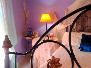 Bed and Breakfast in Castejn de las Armas (Zaragoza) or holiday homes and vacation rentals
