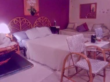 Bed and Breakfast in Castejn de las Armas (Zaragoza) or holiday homes and vacation rentals