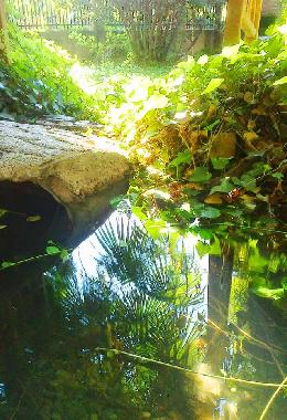 Bed and Breakfast in Castejn de las Armas (Zaragoza) or holiday homes and vacation rentals