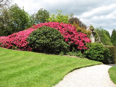 Holiday House in Carbis Bay (South West) or holiday homes and vacation rentals