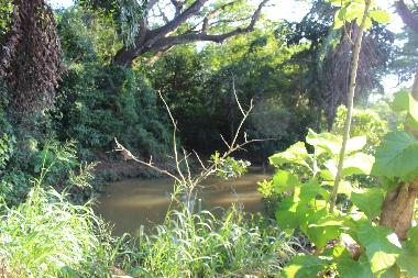 Stream by the Garden
