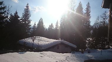 Holiday Apartment in Mhlbach (Pinzgau-Pongau) or holiday homes and vacation rentals