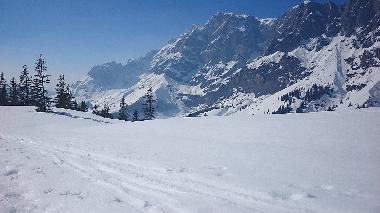 Holiday Apartment in Mhlbach (Pinzgau-Pongau) or holiday homes and vacation rentals