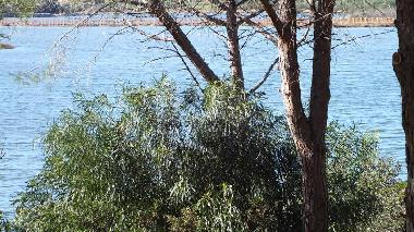 Holiday House in Porto TAverna (Olbia-Tempio) or holiday homes and vacation rentals