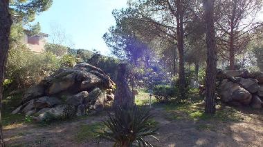 Holiday House in Porto TAverna (Olbia-Tempio) or holiday homes and vacation rentals