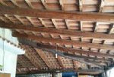 Holiday Apartment in Ascea Marina (Salerno) or holiday homes and vacation rentals