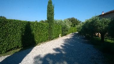 Villa in roma (Roma) or holiday homes and vacation rentals
