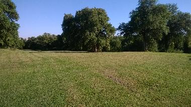 Villa in roma (Roma) or holiday homes and vacation rentals