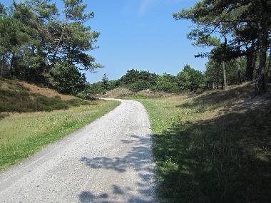 Chalet in Petten (Noord-Holland) or holiday homes and vacation rentals
