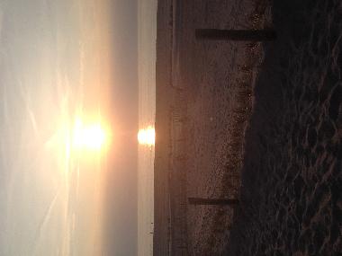 Chalet in Petten (Noord-Holland) or holiday homes and vacation rentals
