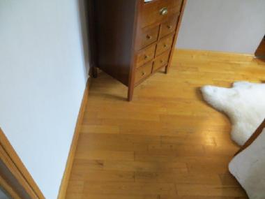 Holiday House in LIMOGES (Haute-Vienne) or holiday homes and vacation rentals