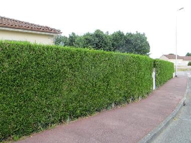 Holiday House in LIMOGES (Haute-Vienne) or holiday homes and vacation rentals