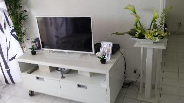 Holiday Apartment in cavalaire sur mer (Var) or holiday homes and vacation rentals