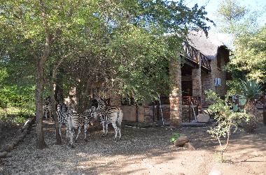 Villa in Marloth Park (Mpumalanga) or holiday homes and vacation rentals